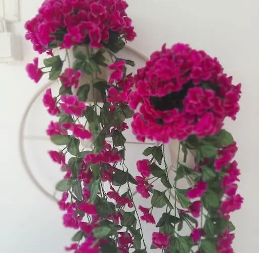 펜션 Faro Del Mar *