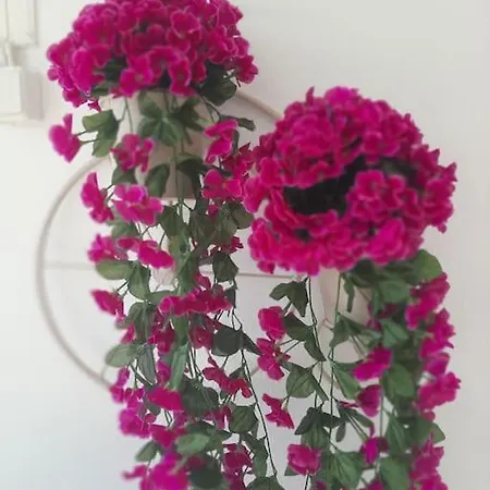 Casa vacanze Faro Del Mar *